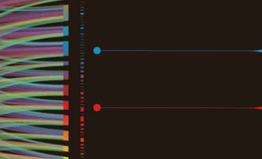 eCADSTAR Variation Datasheet Download